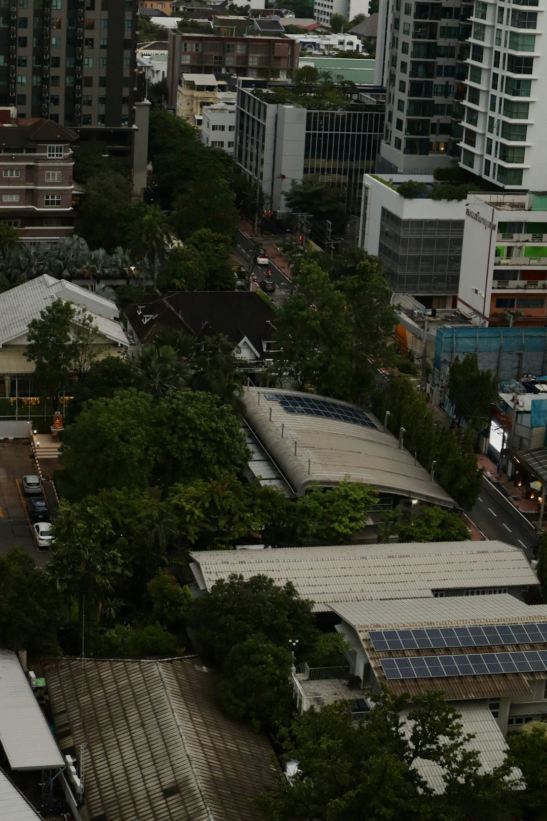 dense-urban-greenery-interspersed-with-modern-buildings-zzkwybrbcyq